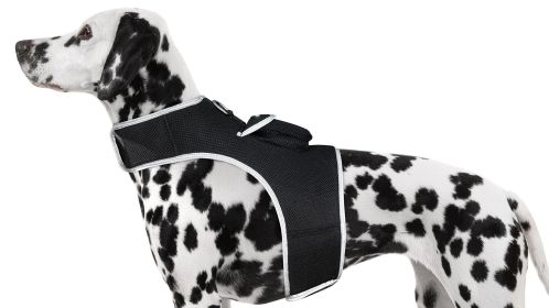 Portable Dog Tracking GPS GSM Locating Device Supports Geo-Fencing NIB Size:XS Portable Dog Tracking GPS GSM Locating Device Supports Geo-Fencing NIB Size:XS